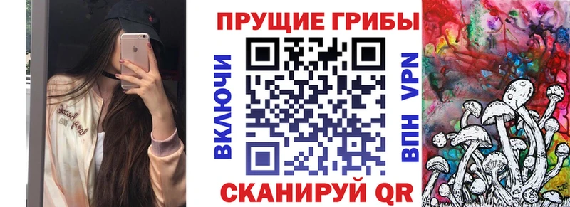 Галлюциногенные грибы Psilocybe  что такое наркотик  Яблоновский 